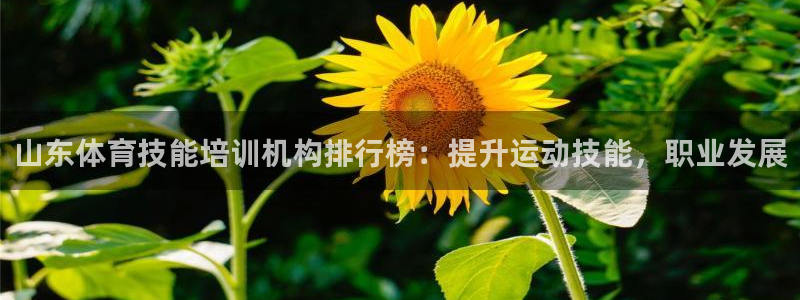 耀世平台负责人是谁