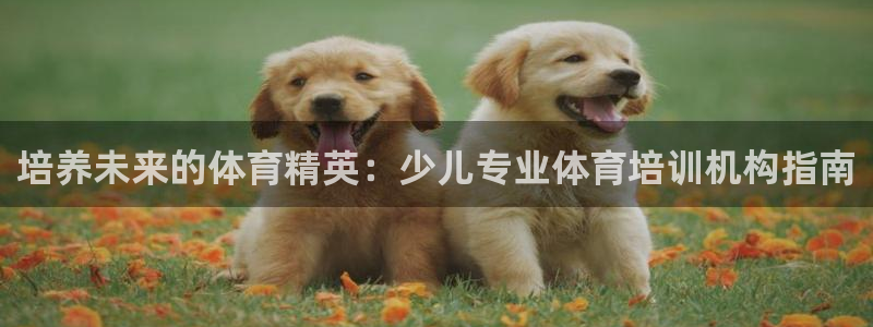 耀世娱乐如何登录平台号：培养未来的体育精英：少儿专业