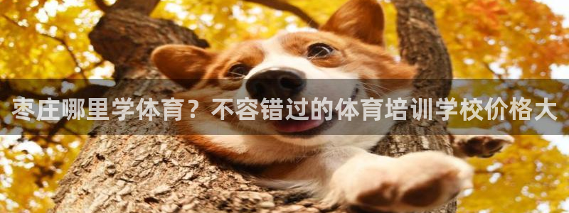 耀世娱乐黑钱吗是真的吗