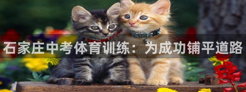 耀世娱乐软件下载安装：石家庄中考体育训练：为成功铺平