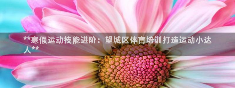 耀世娱乐平台官网登录不了怎么办