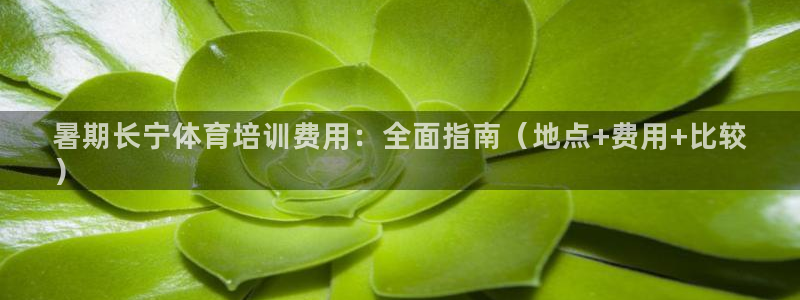 耀世平台开户联4.8.7.7.8.4他系稳定吗：暑期