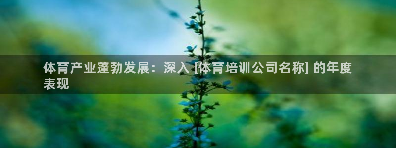 耀世国际集团董事长：体育产业蓬勃发展：深入 [体育培