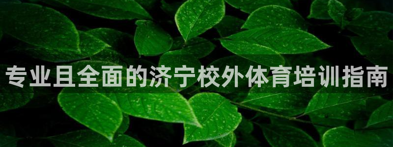 耀世集团七天三倍彩金活动：专业且全面的济宁校外体育培