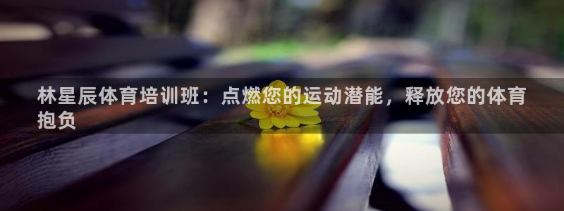 耀世平台开户流程是什么：林星辰体育培训班：点燃您的运