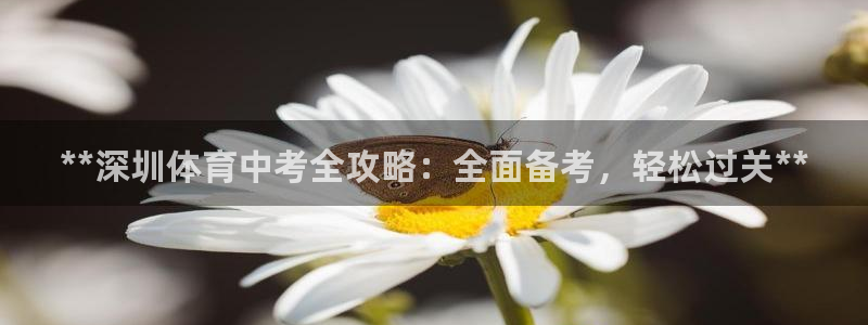 耀世娱乐app下载官网安卓：**深圳体育中考全攻略：