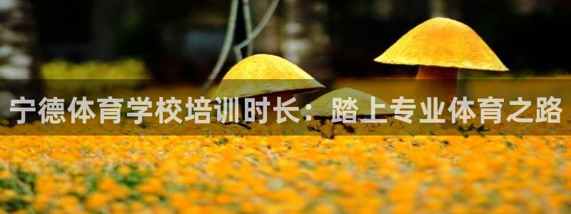 耀世娱乐app下载安装苹果：宁德体育学校培训时长：踏