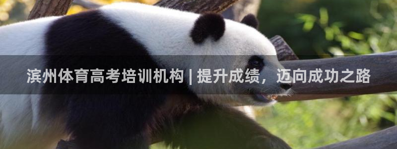 耀世集团视频介绍下载：滨州体育高考培训机构 | 提升