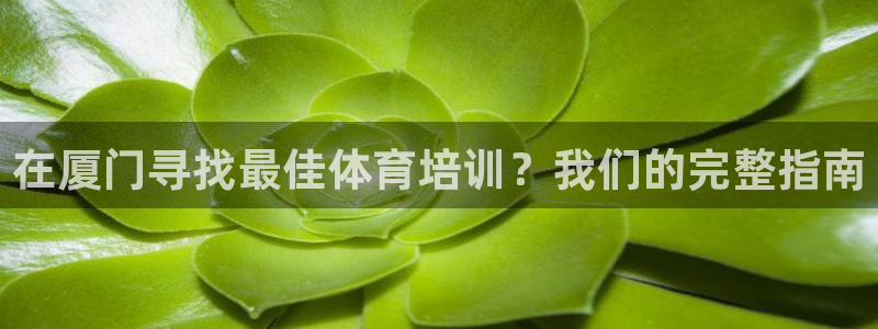 耀世娱乐官网首页登录入口：在厦门寻找最佳体育培训？我