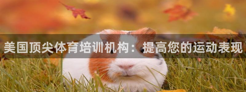 耀世娱乐挂机脚本：美国顶尖体育培训机构：提高您的运动