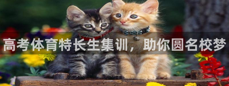 耀世平台代理怎么样：高考体育特长生集训，助你圆名校梦