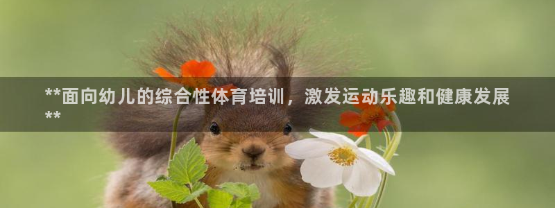 耀世平台网址：**面向幼儿的综合性体育培训，激发运动