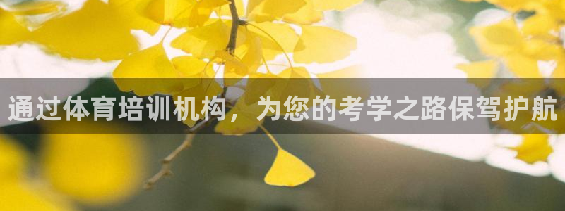 耀世捷科技：通过体育培训机构，为您的考学之路保驾护航