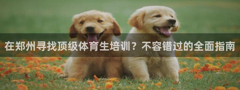 耀世娱乐平台注册地址：在郑州寻找顶级体育生培训？不容