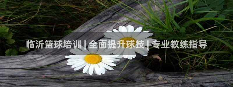 耀世国际平台正规吗可靠吗安全吗：临沂篮球培训 | 全