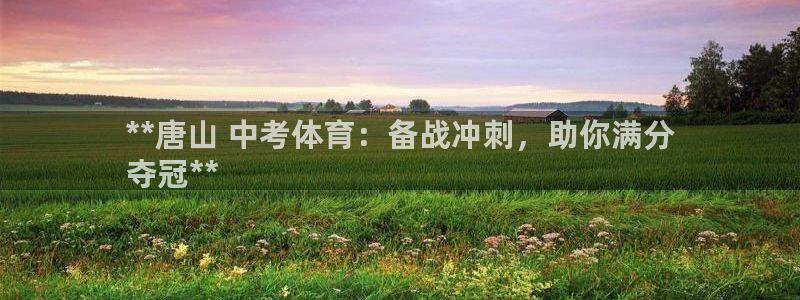 耀世娱乐挂机脚本下载：**唐山 中考体育：备战冲刺，