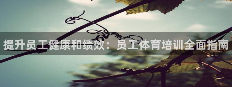 耀世娱乐提款怎么取消：提升员工健康和绩效：员工体育培