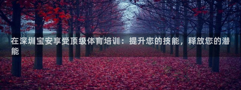 耀世来袭：在深圳宝安享受顶级体育培训：提升您的技能，