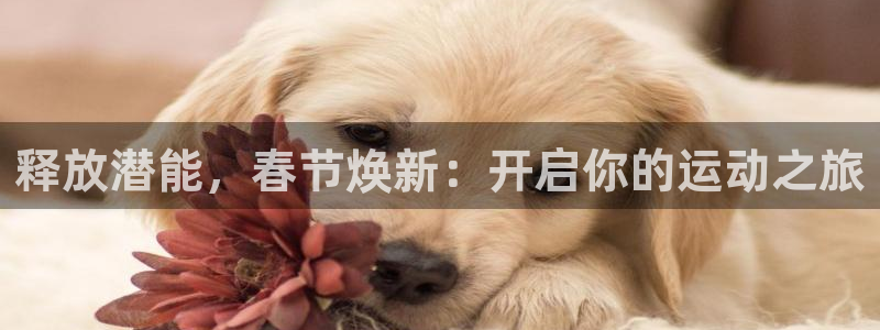 耀世集团是什么电影院：释放潜能，春节焕新：开启你的运