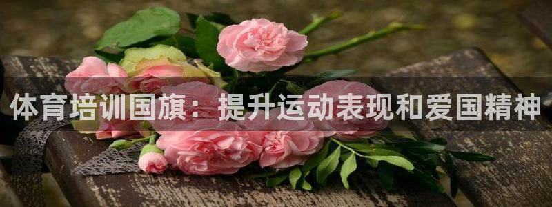 耀世而来是什么意思：体育培训国旗：提升运动表现和爱国