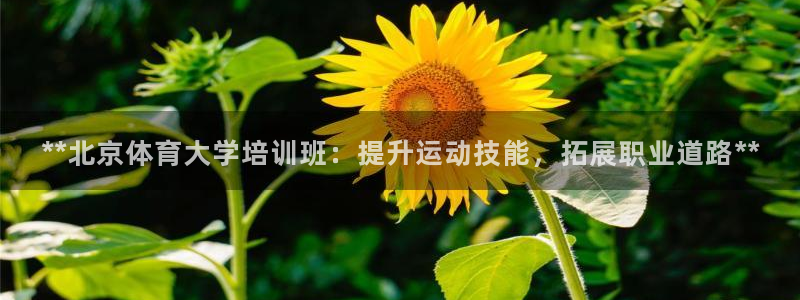 耀世娱乐老板是谁：**北京体育大学培训班：提升运动技