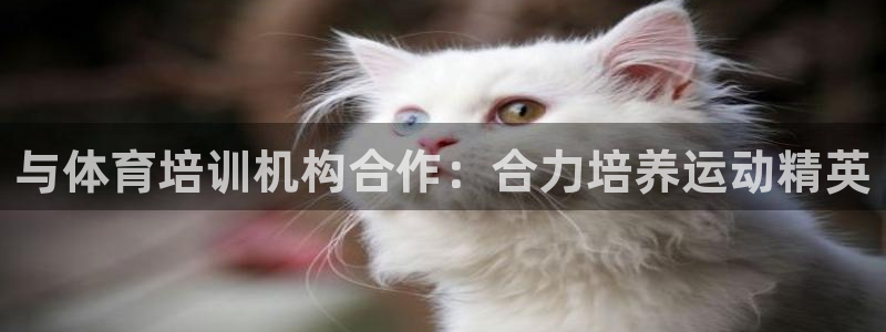 耀世平台注册网址是什么意思：与体育培训机构合作：合力