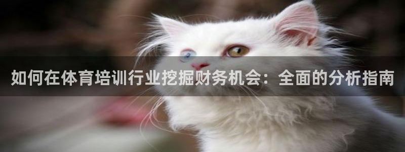 耀世平台登录地址是什么：如何在体育培训行业挖掘财务机
