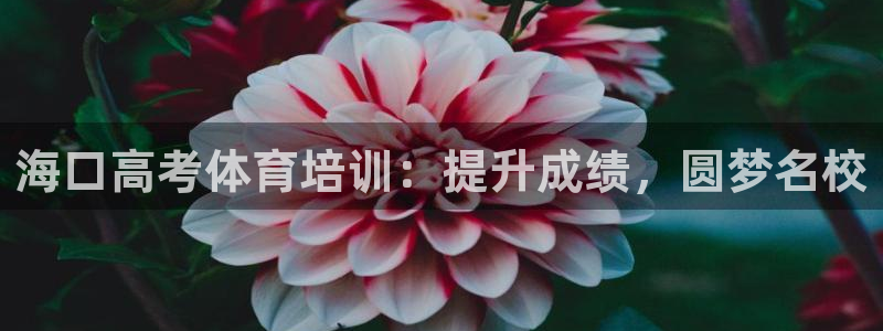 耀世娱乐网站下载：海口高考体育培训：提升成绩，圆梦名