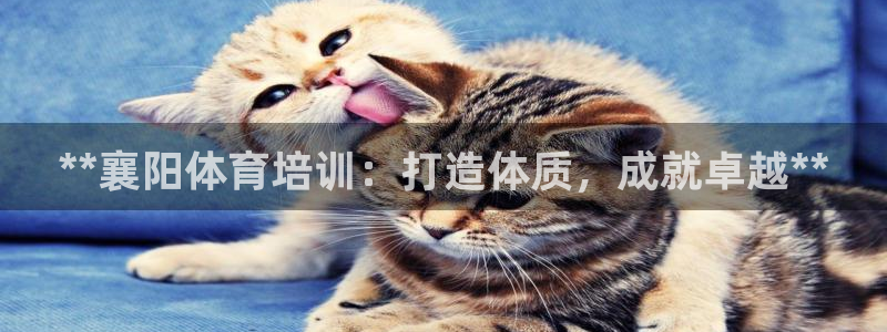 耀世娱乐是正规还是仿真：**襄阳体育培训：打造体质，
