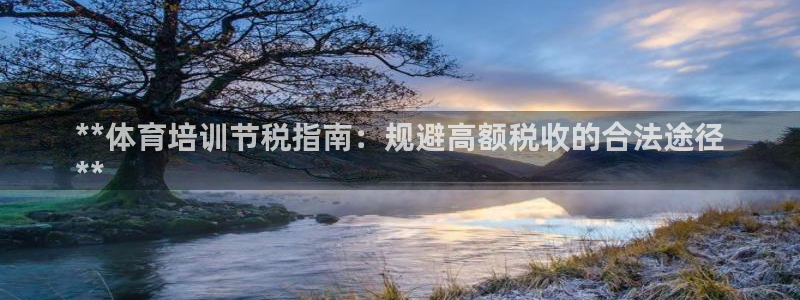 耀世平台开户流程是什么：**体育培训节税指南：规避高