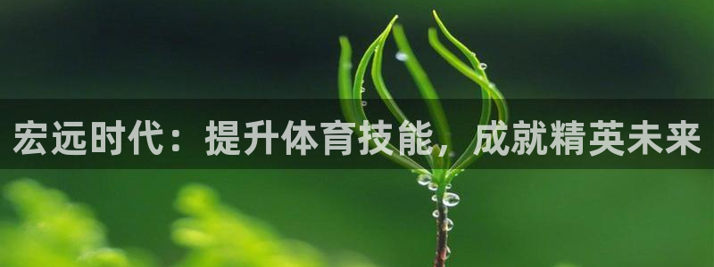 耀世开盘是什么意思：宏远时代：提升体育技能，成就精英