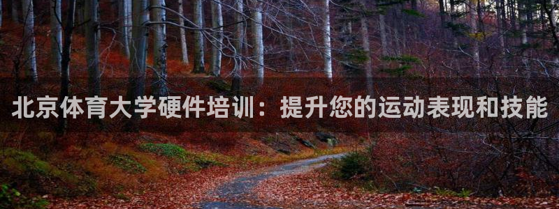 耀世集团商业联盟招聘：北京体育大学硬件培训：提升您的