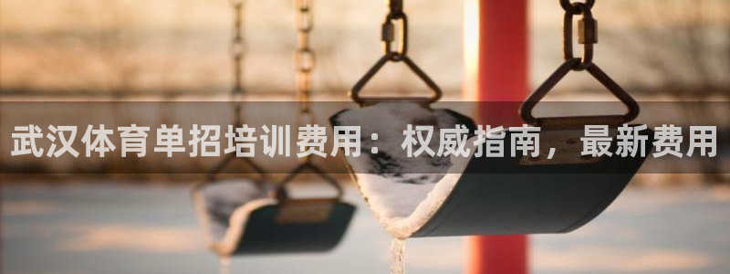 耀世娱乐提现失败原因：武汉体育单招培训费用：权威指南