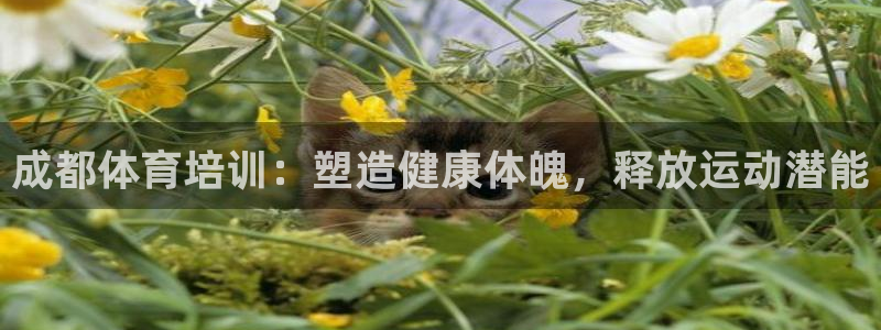 耀世娱乐脚本下载官网：成都体育培训：塑造健康体魄，释