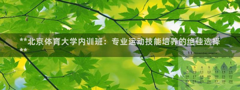 耀世娱乐下载最新版本安装教程：**北京体育大学内训班