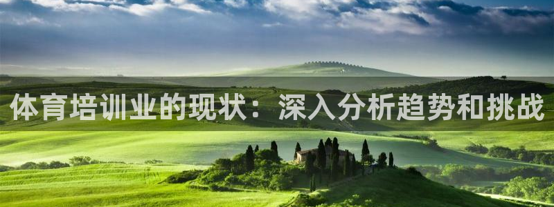 耀世国际平台正规吗可信吗安全吗：体育培训业的现状：深