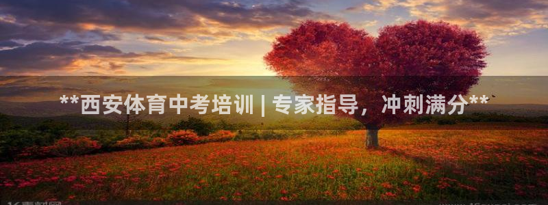耀世娱乐平台官网登录入口网址：**西安体育中考培训 