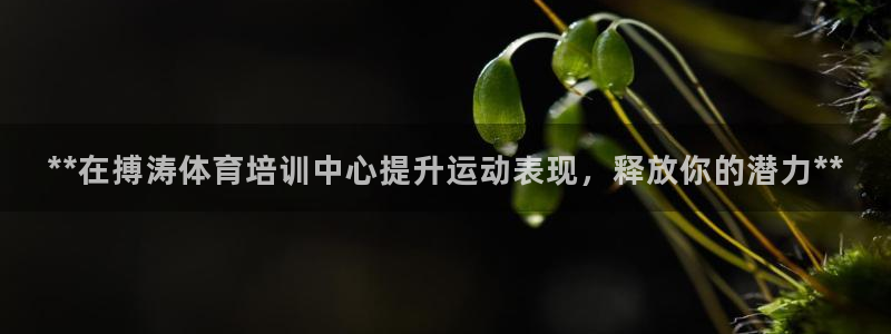 耀世传说：**在搏涛体育培训中心提升运动表现，释放你