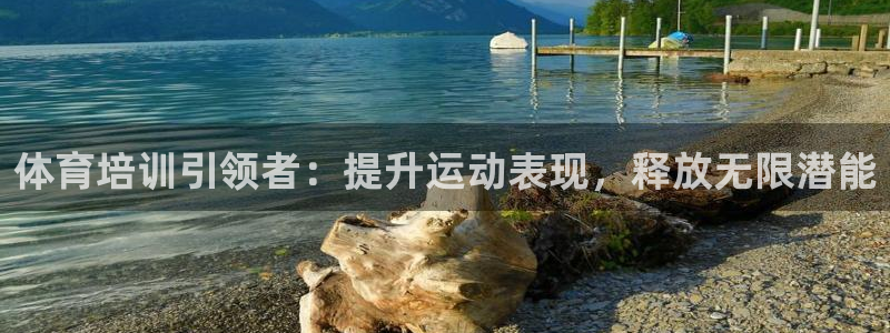 耀世娱乐含山县：体育培训引领者：提升运动表现，释放无