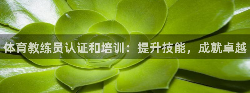 耀世天下的是什么意思：体育教练员认证和培训：提升技能