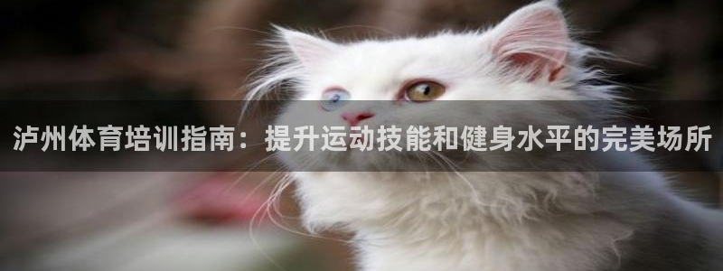 耀世第二关：泸州体育培训指南：提升运动技能和健身水平