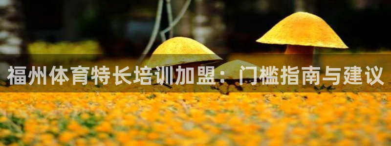 六星耀世什么意思：福州体育特长培训加盟：门槛指南与建