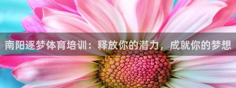 耀世国际集团是国企吗还是私企：南阳逐梦体育培训：释放