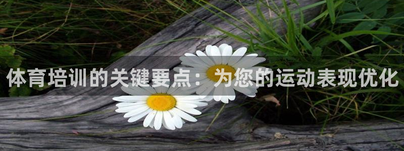 耀世集团小视频：体育培训的关键要点：为您的运动表现优