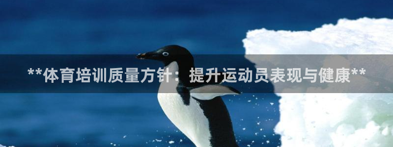耀世天下网名好吗：**体育培训质量方针：提升运动员表