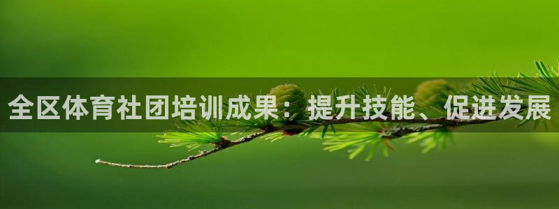 耀世是什么车：全区体育社团培训成果：提升技能、促进发