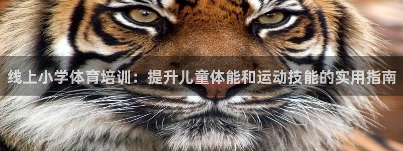 耀世平台最新注册地址是哪里：线上小学体育培训：提升儿