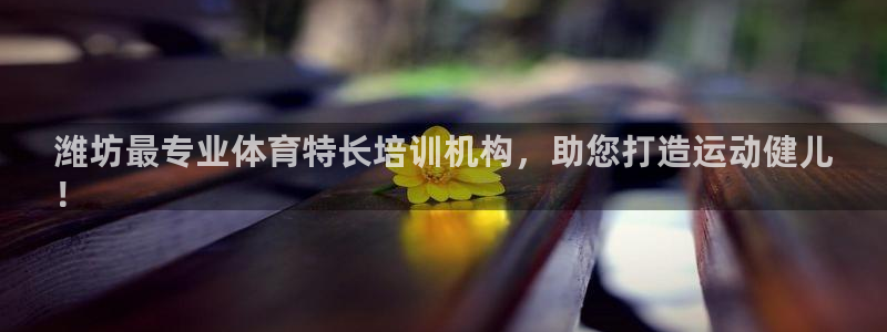 耀世国际集团董事长：潍坊最专业体育特长培训机构，助您