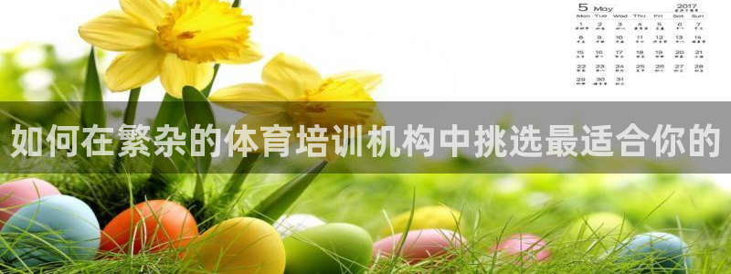 耀世盛典手游下载官网：如何在繁杂的体育培训机构中挑选