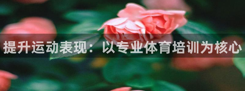 耀世娱乐提现失败怎么办：提升运动表现：以专业体育培训